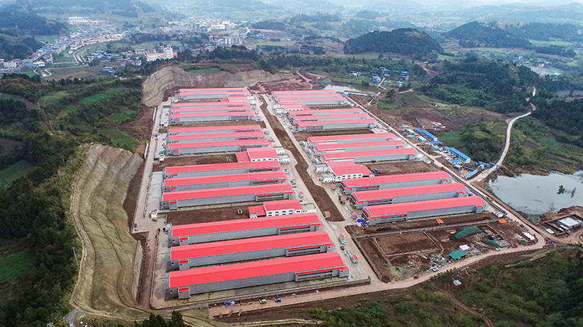 【轉(zhuǎn)型發(fā)展工作動態(tài)之一】黨建引領(lǐng)服務(wù)鄉(xiāng)村振興